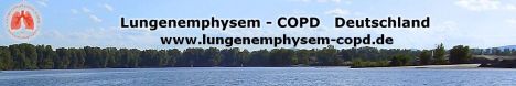 lungenemphysem copd